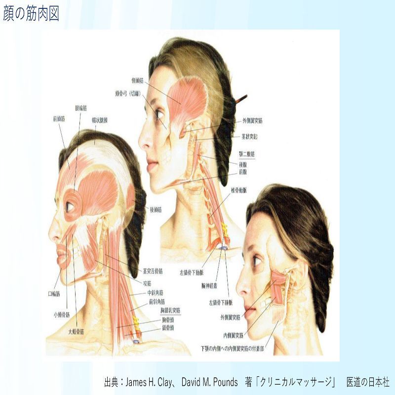 口膣内ケア】ソマニキス®オーラル10個入【正規代理店】 - KENMAYA(けん