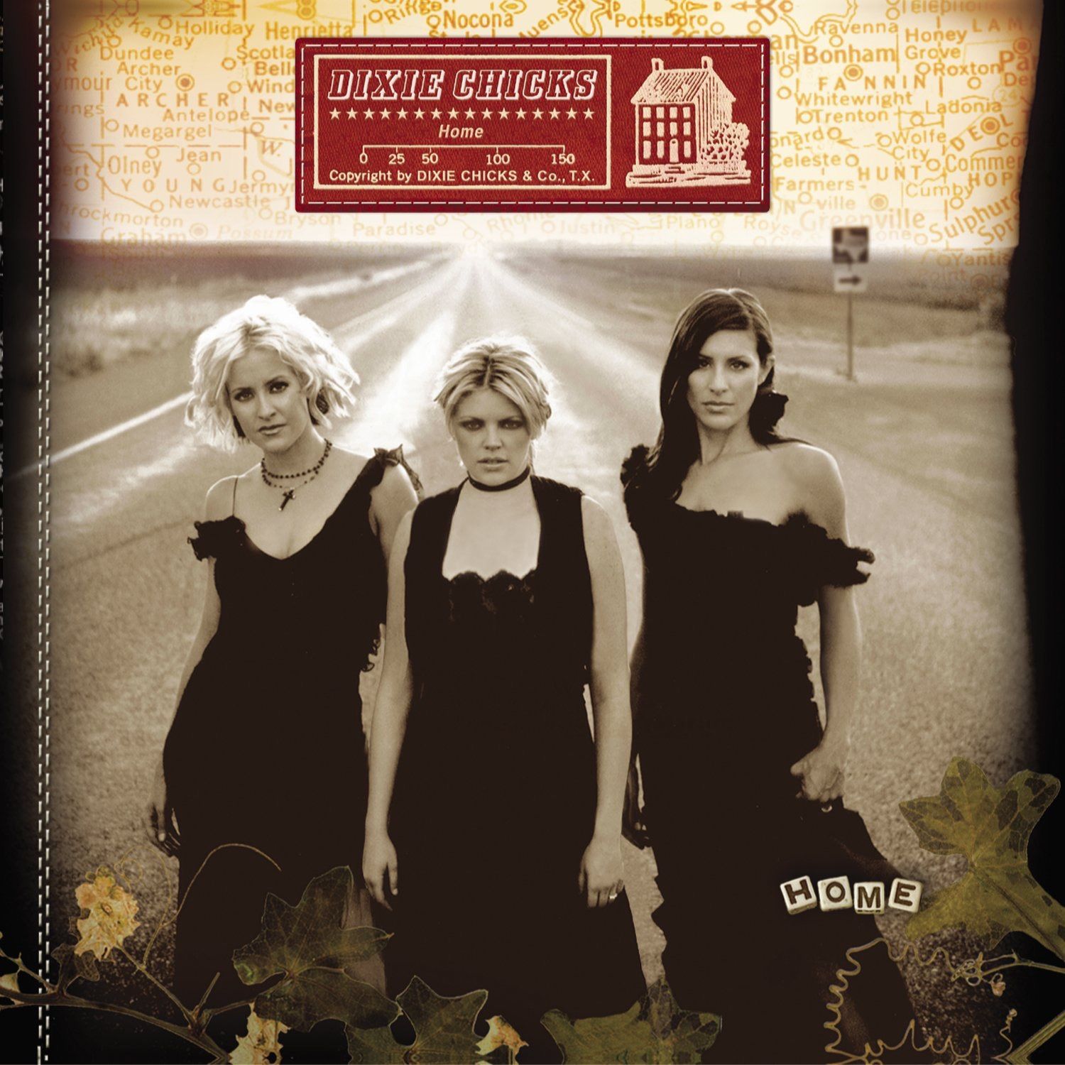 ディクシー・チックス DIXIE CHICKS HOME CD - メルカリ