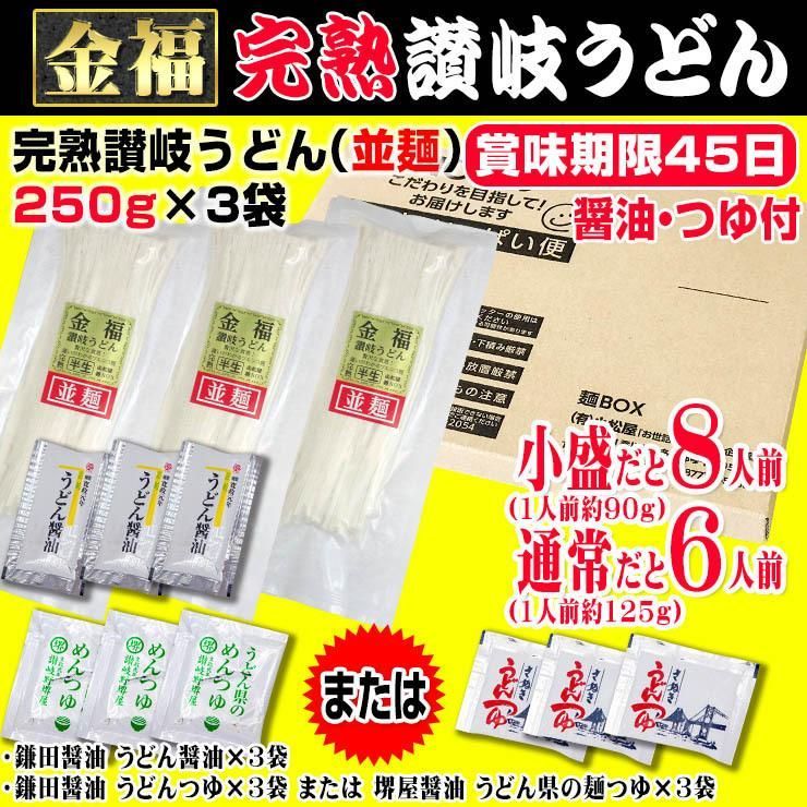20時間熟成 半生 並麺 讃岐うどん つゆ付きセット 便利な個包装 750g 送料無料　A36
