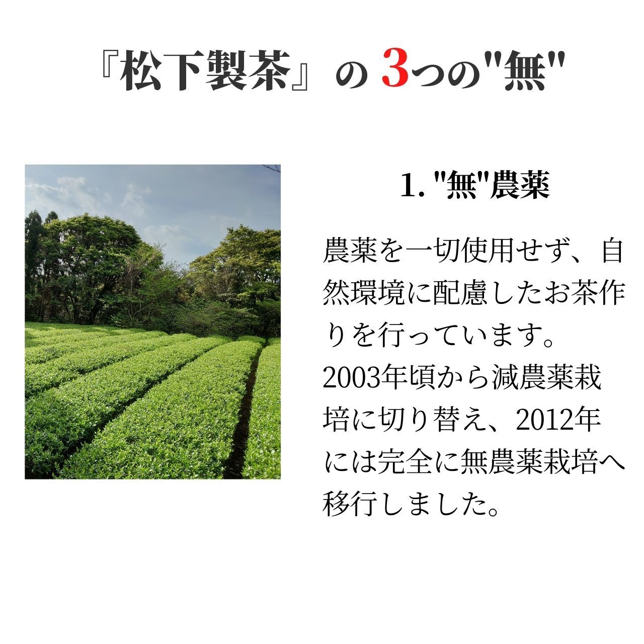 松下製茶 種子島の有機緑茶『やぶきた』 茶葉(リーフ) 100g