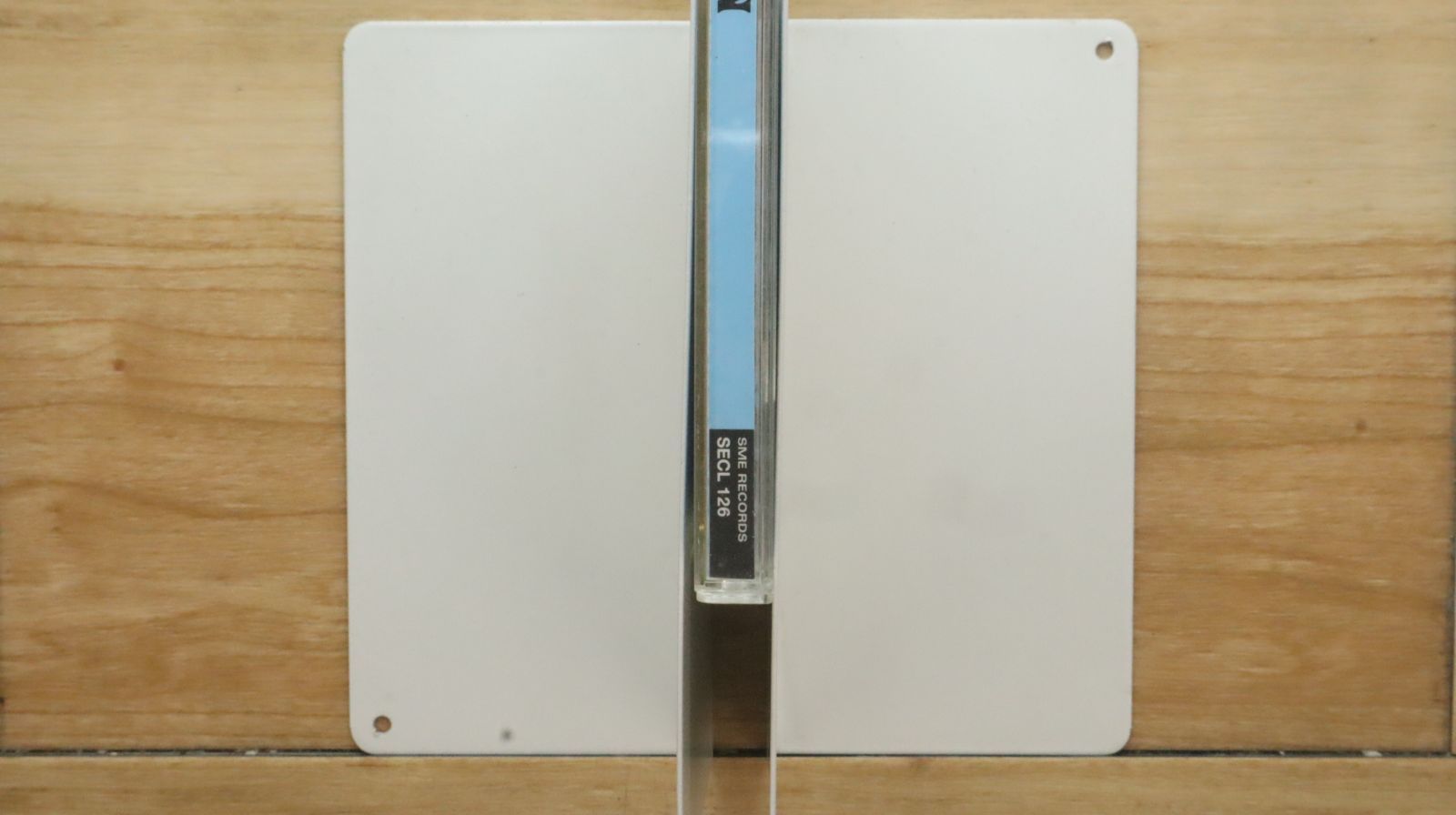 国内盤CD☆奥田民生/Tamio Okuda□ LION 【SECL126/4547557001501