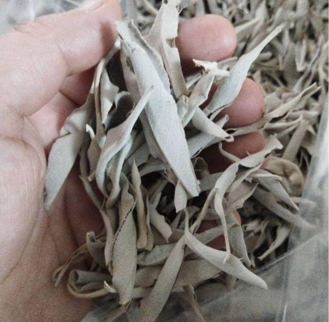 セール☆無農薬ホワイトセージリーフ1kg業務用価額お得