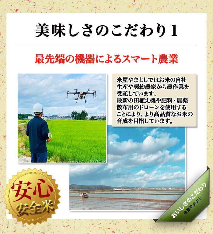 5kg×2個 ブレンド米
