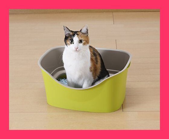 ほぼ未使用】自動猫トイレ Swiftool 全自動猫トイレ 猫 自動トイレ