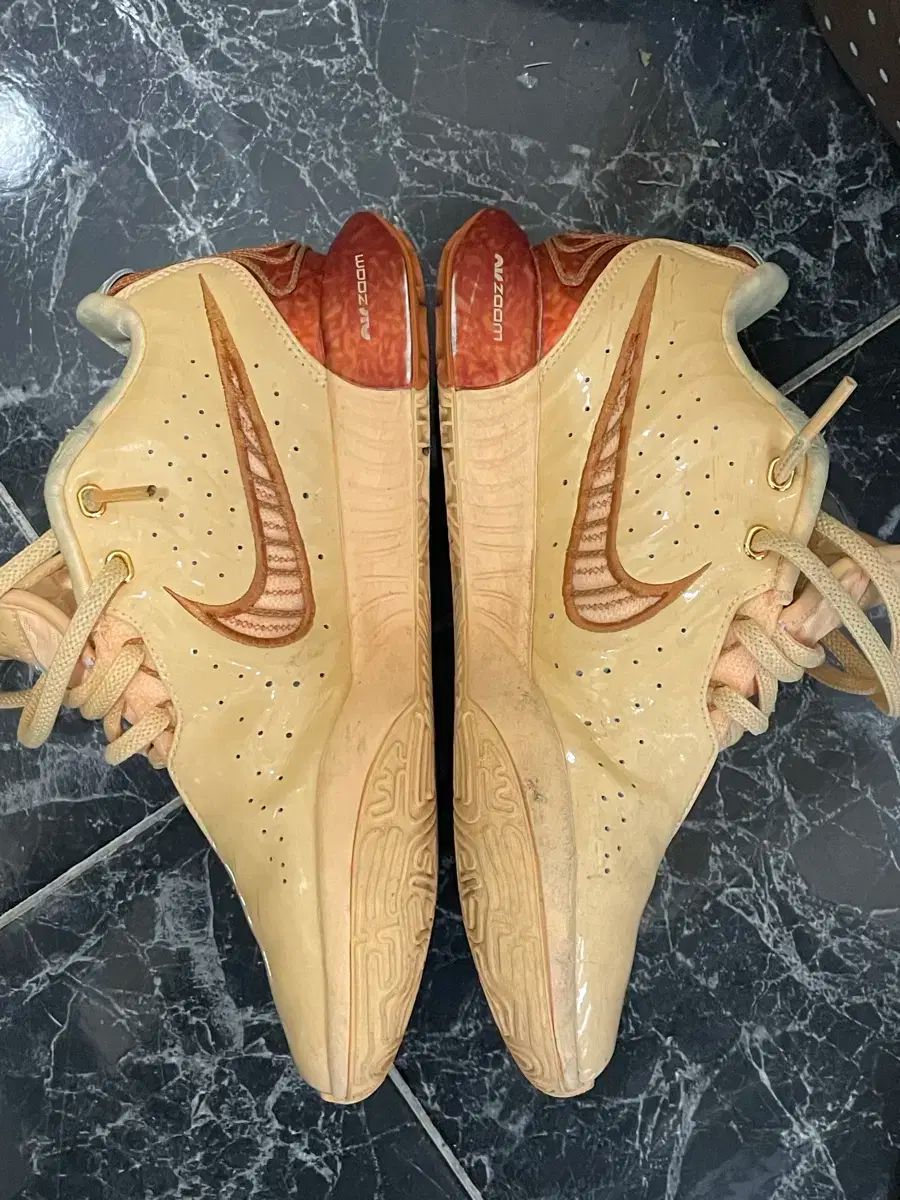 ナイキ レブロン 21 EP メロン ティント 260 Melon Tint Lebron James