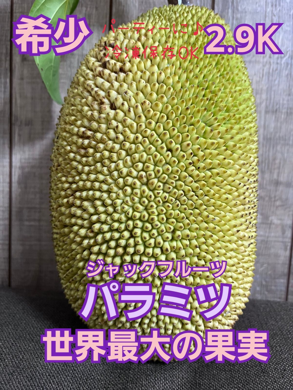 石垣島産 パラミツ ジャックフルーツ 9kg - 果物