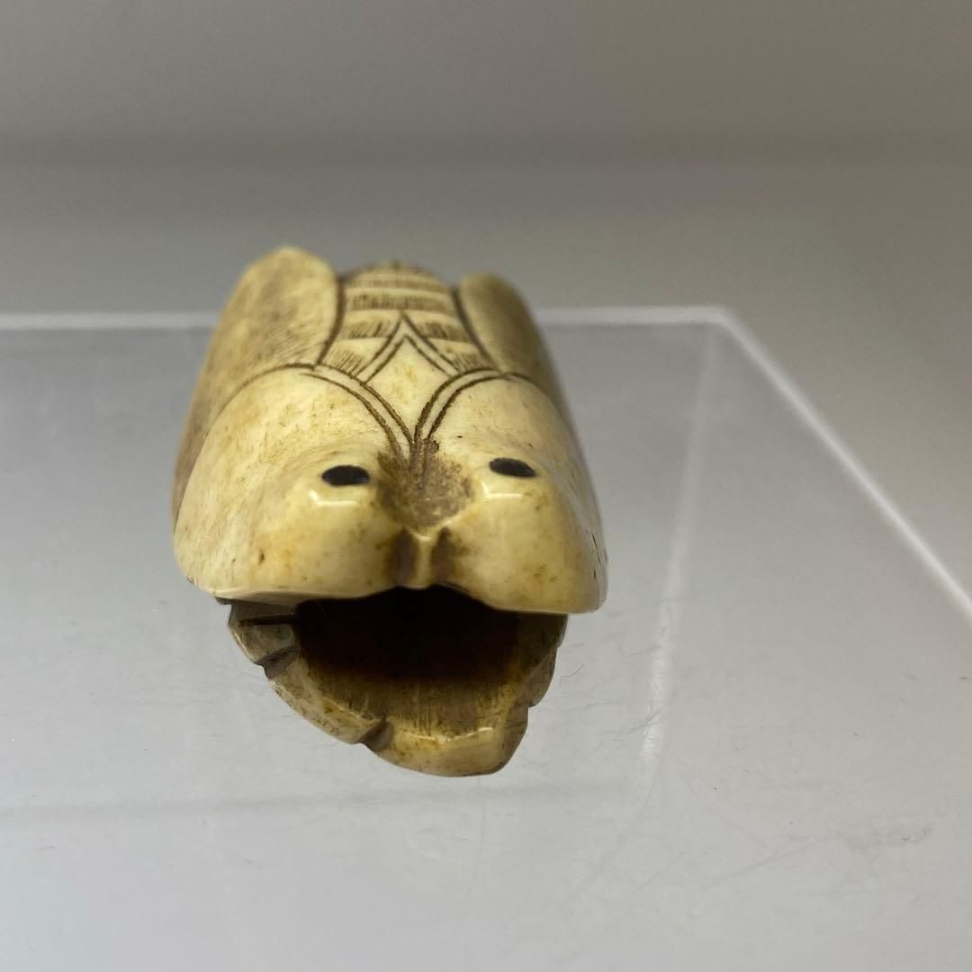 骨製セミ根付 18g 卸売 東Y6-0918ア㉗