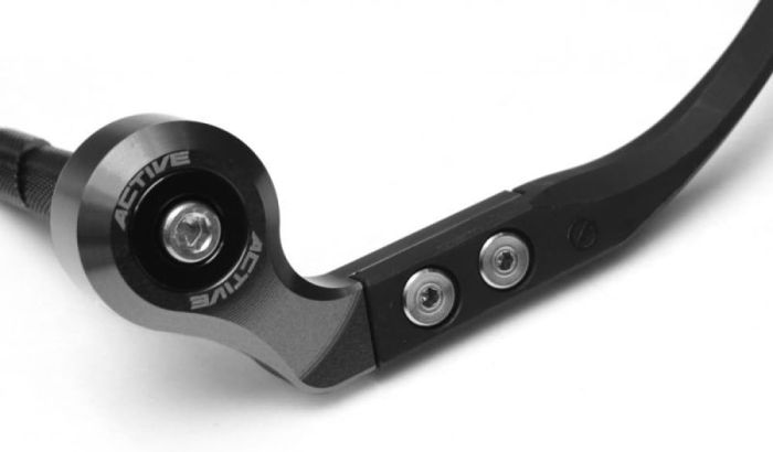 人気 SAD 非常に希少な斑入り【コレクション株】【発根済】【作家鉢