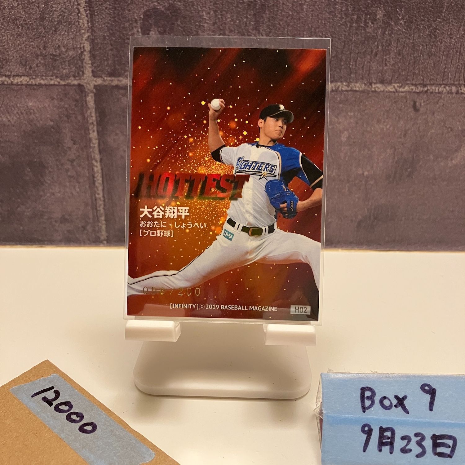 北海道日本ハムファイターズ HOTTEST