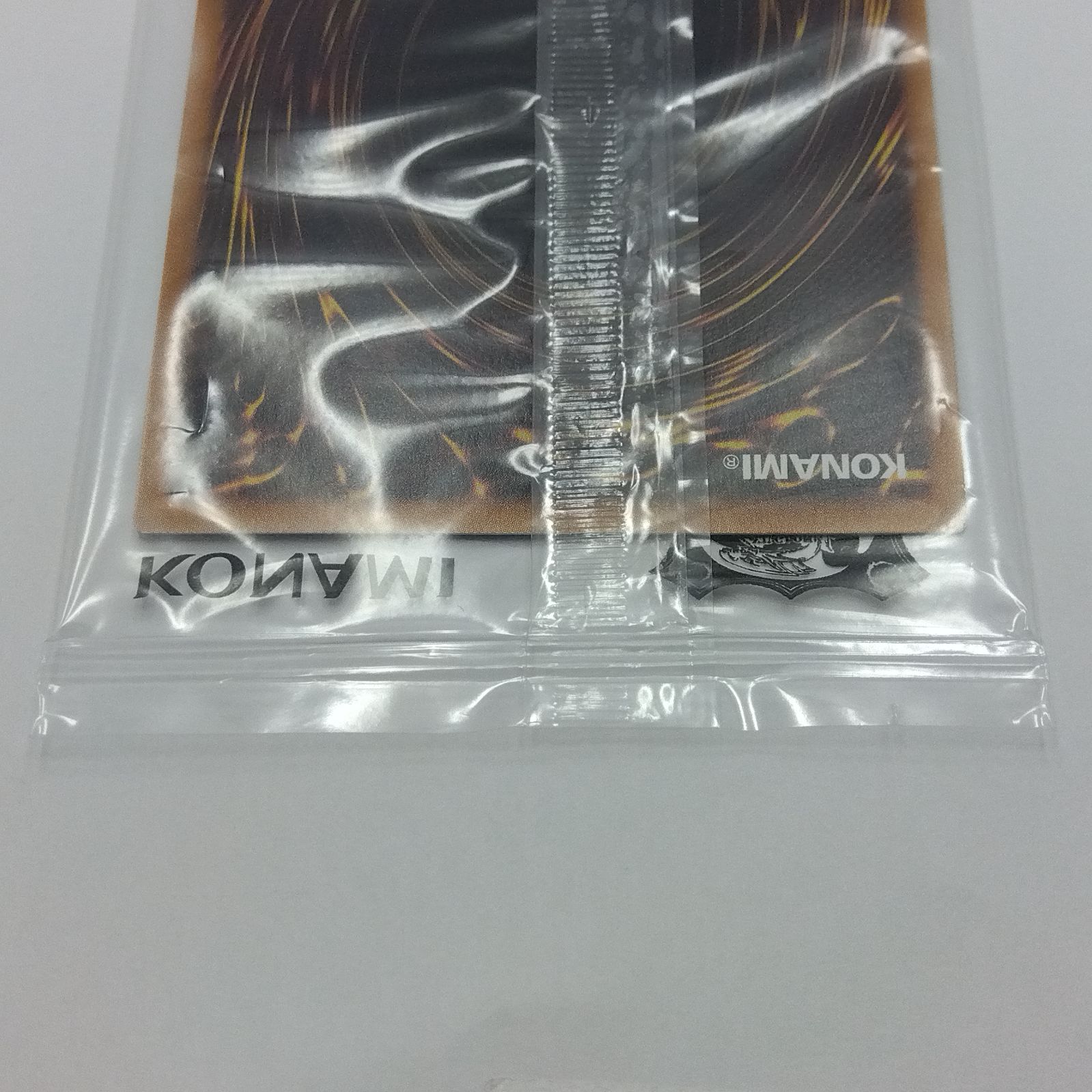 ブルーアイズホワイトドラゴン 東京ドーム