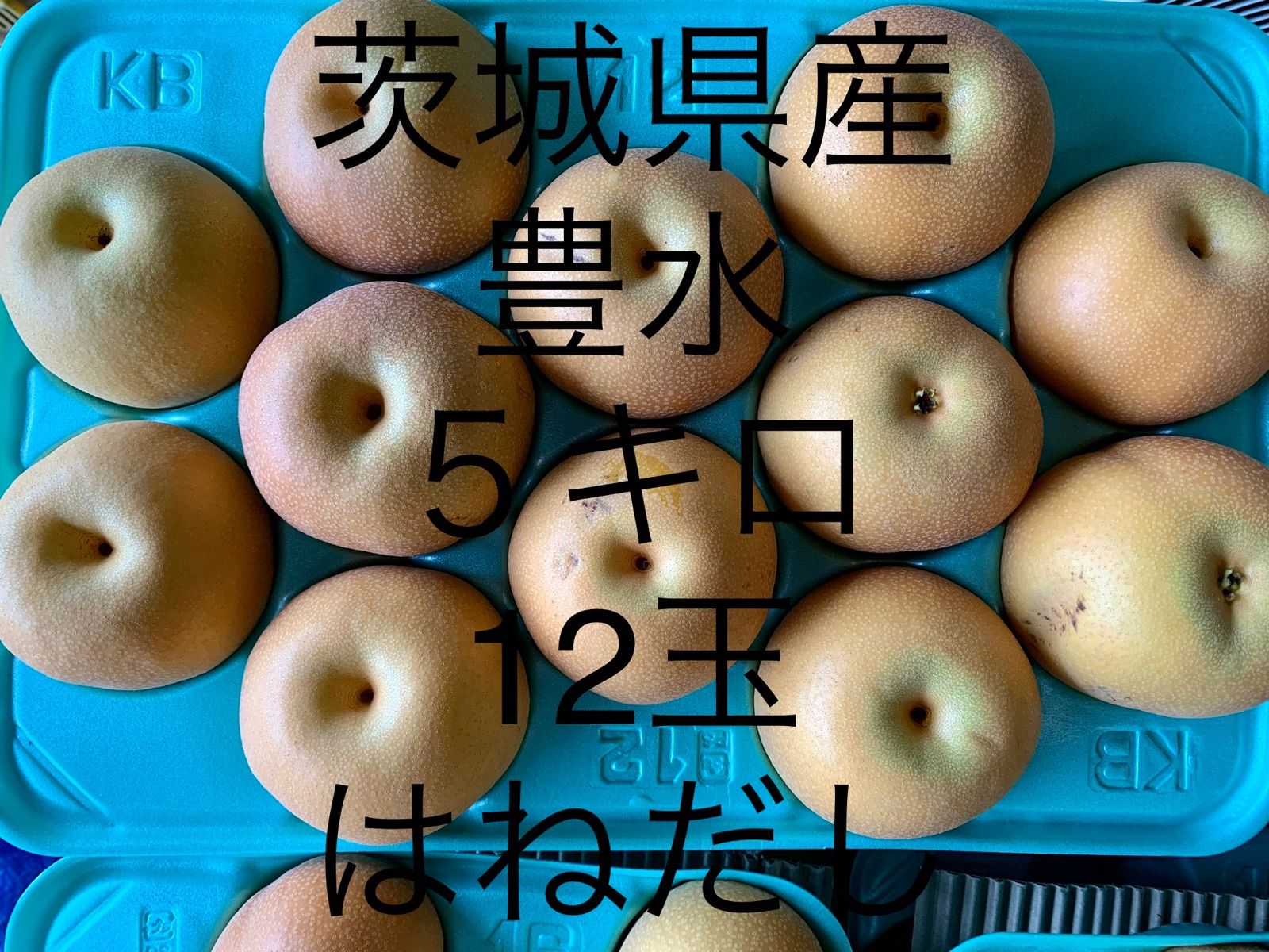 茨城県産 梨 豊水 5キロ 12玉 はねだし - メルカリ 茨城県産 梨 豊水 5キロ 12玉 はねだし - メルカリ
