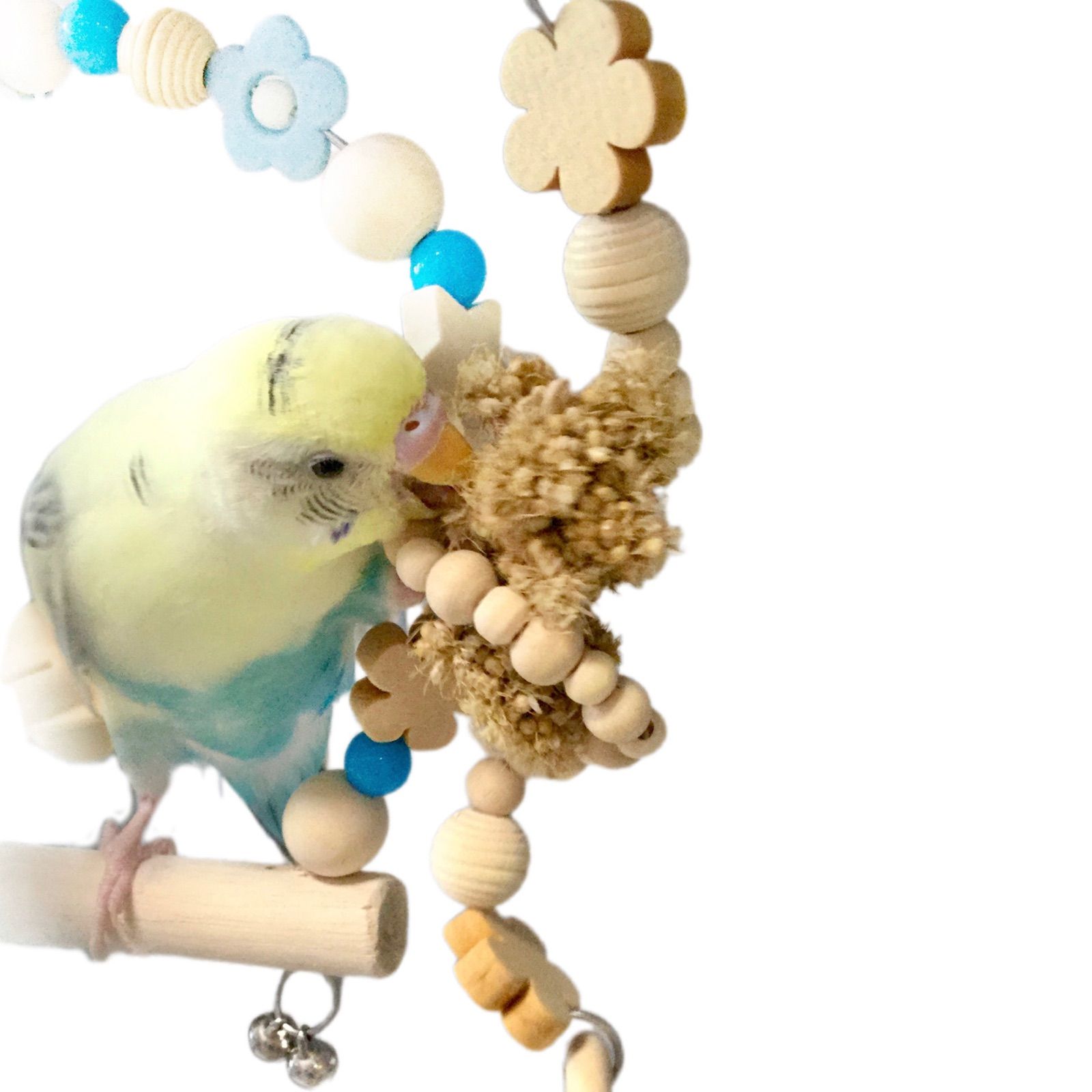 粟穂 ホルダー 日本製 安心安全素材 小鳥 鳥 木製 粟の穂 キャッチャー