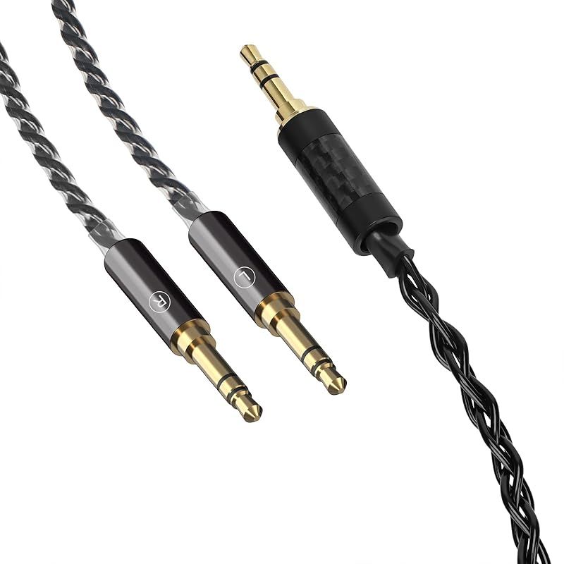 在庫限り】HIFIMAN SUSVARA UNVEILED SUNDARA Ananda Arya HE4XX