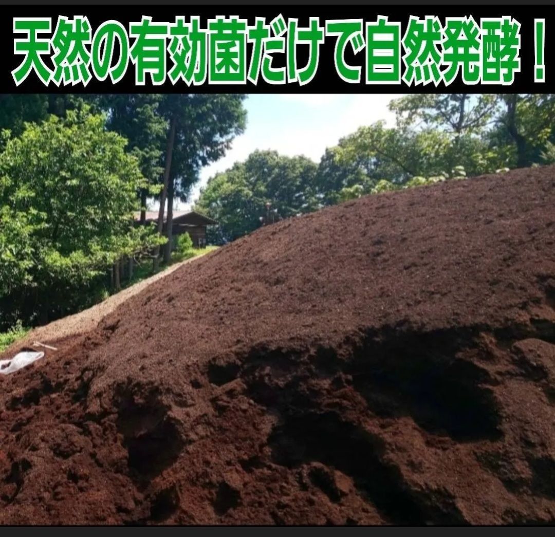 天然の有効菌のみで仕上がったバクテリアマット 幼虫の餌