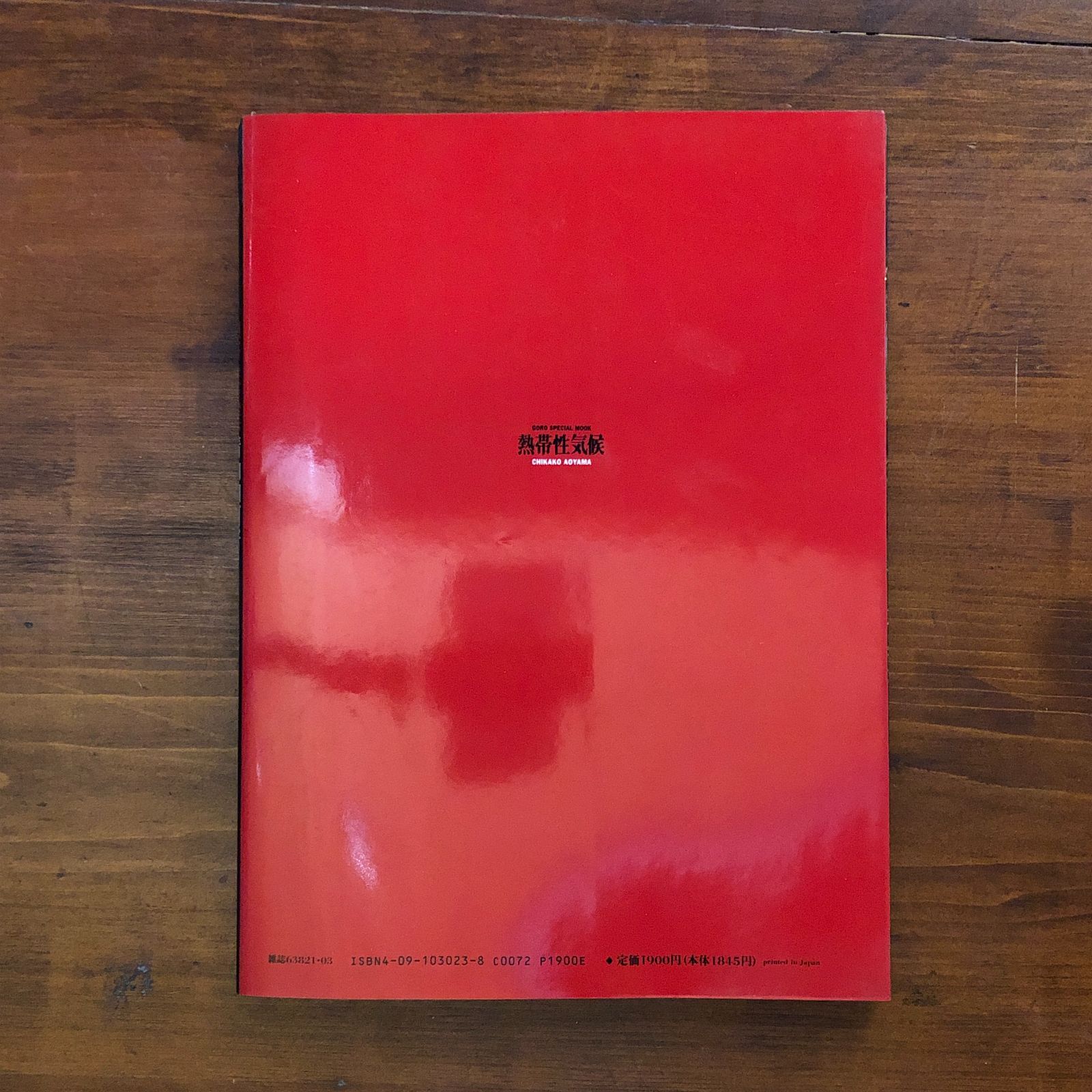 青山知可子 写真集 「熱帯性気候」篠山紀信 小学館 - メルカリ