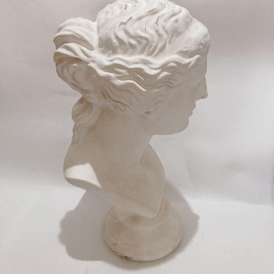 ミロのヴィーナス 石膏像 デッサン 胸像 美術 インテリア オブジェ 置物 彫刻 WWW_IBETON_RU