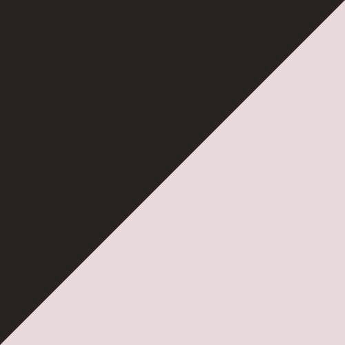 オーキッド 17