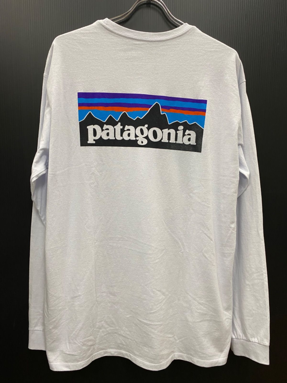 patagonia パタゴニア 長袖Tシャツ メンズＬサイズ