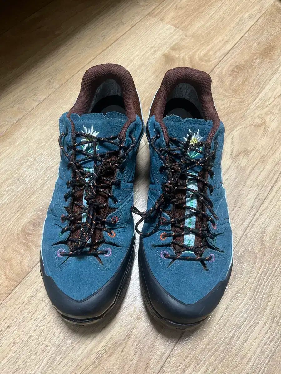 SALOMON サロモン ザ ブロークン アーム 消去 275