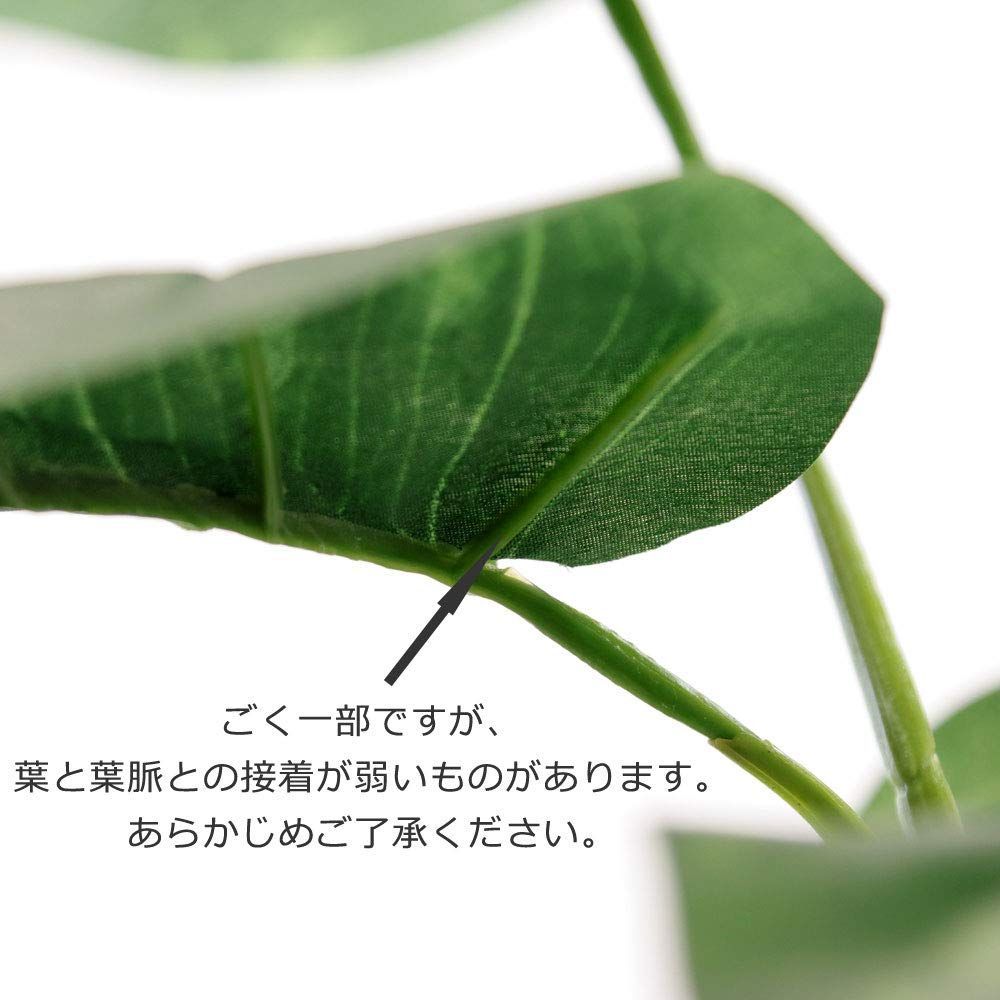 新着商品 造花 人工 観葉植物 造花ドットコム 光触媒 ポトス 葉12枚 高さ60cm 幅50cm 奥行45cm 白丸ポットとヤシの繊維付 鉢は取り外し不可 フェイクグリーン インテリア 屋内 リビング オフィス 93691