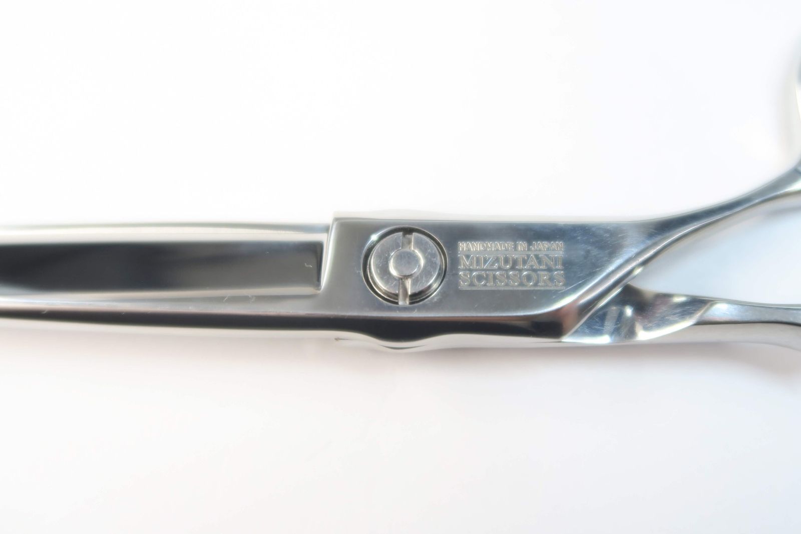 ミズタニシザーズ SWORD