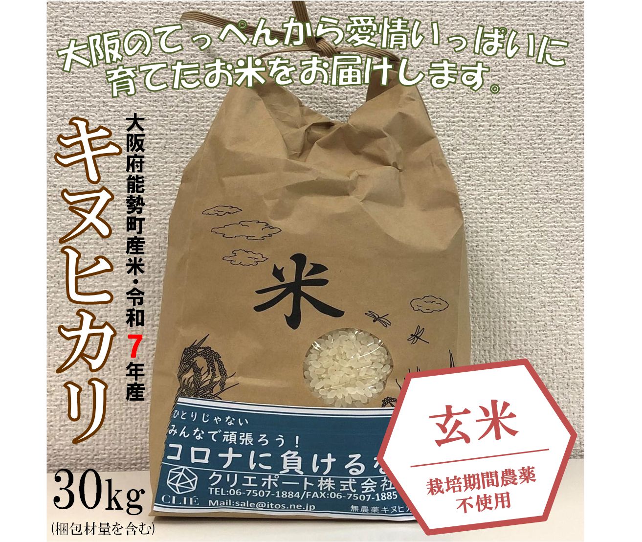 令和7年産 栽培期間農薬不使用 大阪のてっぺん キヌヒカリ 玄米30kg 大阪府能勢産