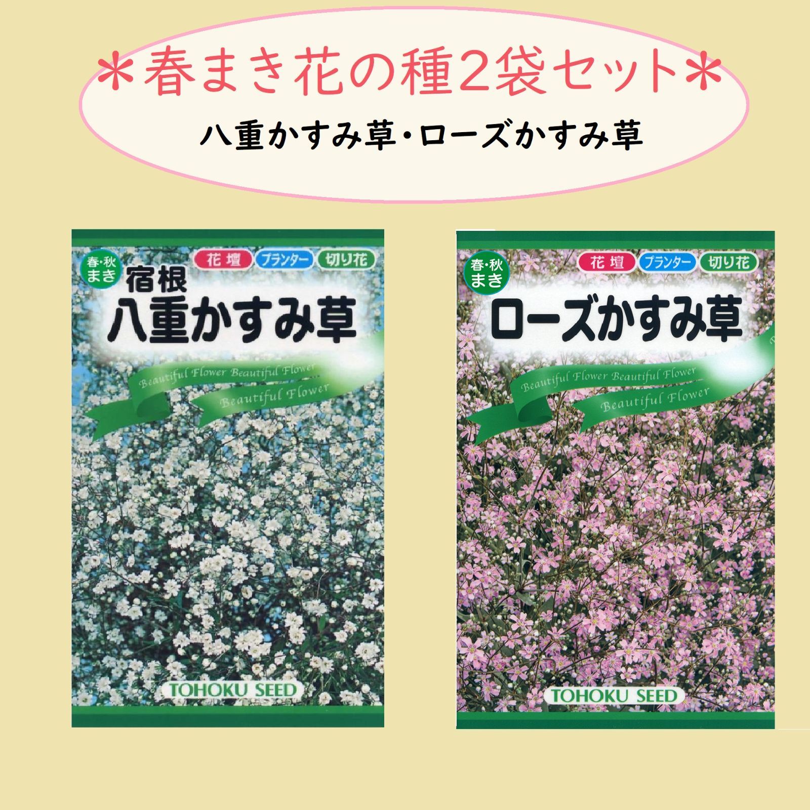 ２袋セット】春・秋蒔き 花の種 宿根八重かすみ草・ローズかすみ草