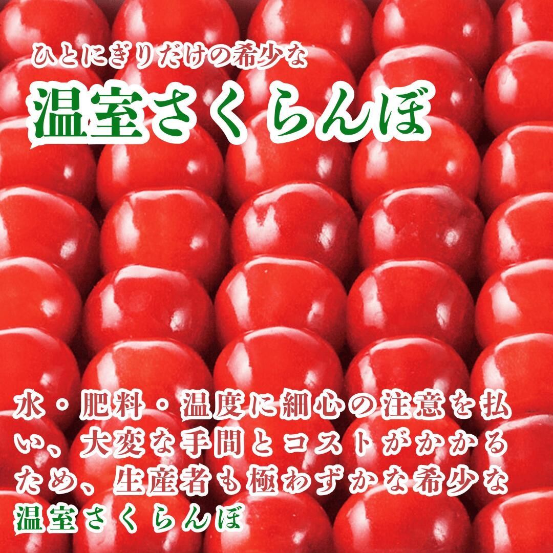 ハウス さくらんぼ