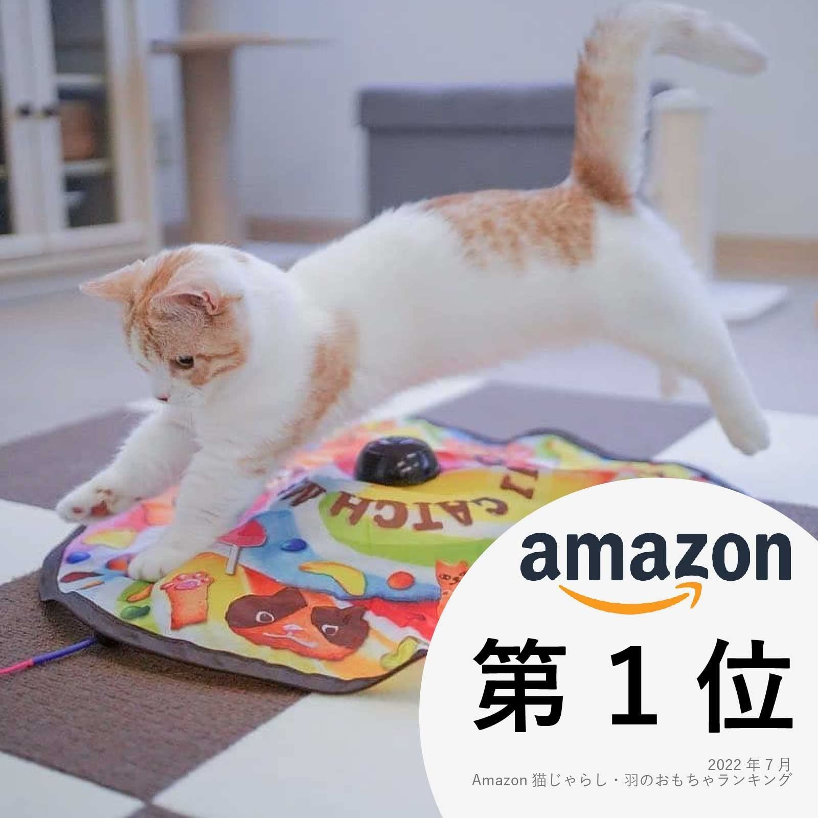 豊富な品 猫壱 キャッチミーイフユーキャン2 交換用スティック羽3本