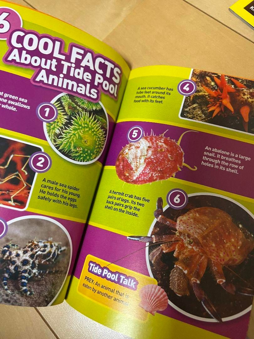 最新NATIONAL GEOGRAPHIC KIDS レベル1 - メルカリ