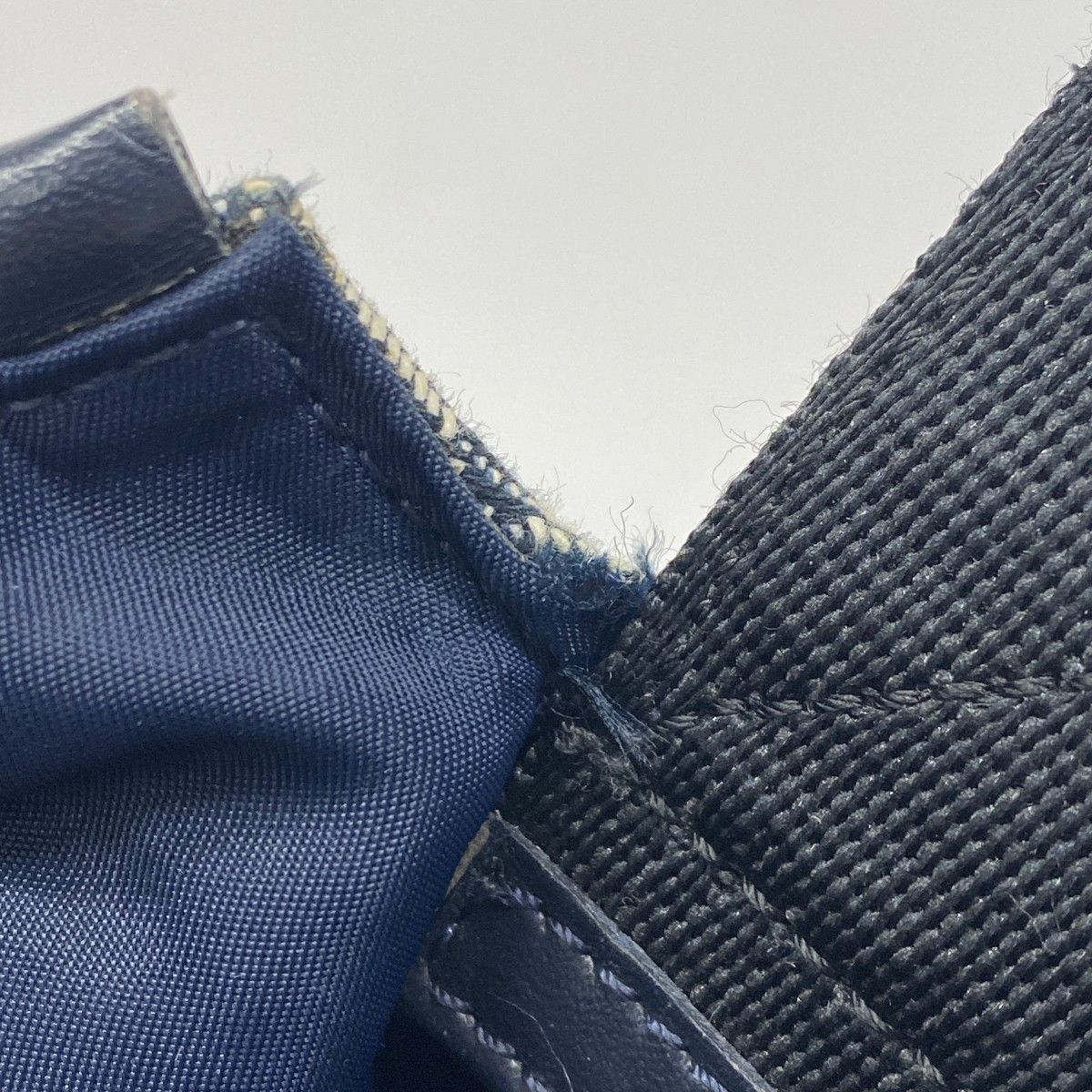 トロッター キャンバス