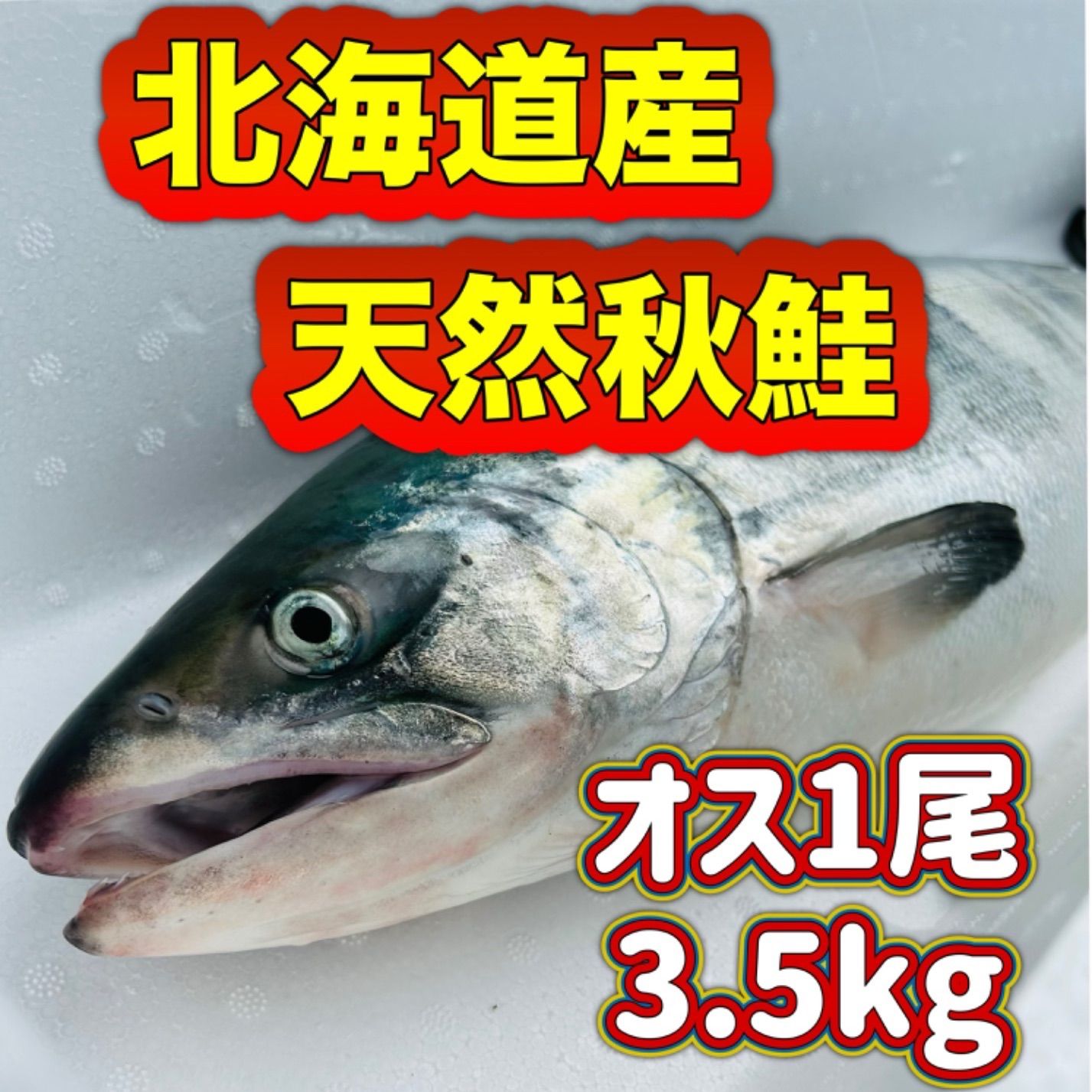 北海道産 醤油漬けイクラ 500g – えびなう 北勝水産 北海道産 特上