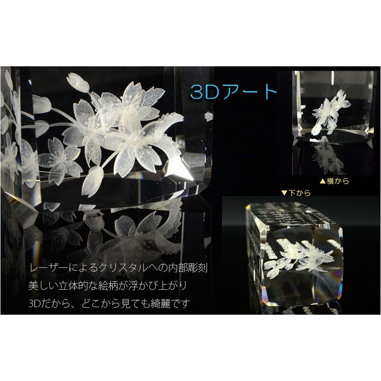 背面ブラック