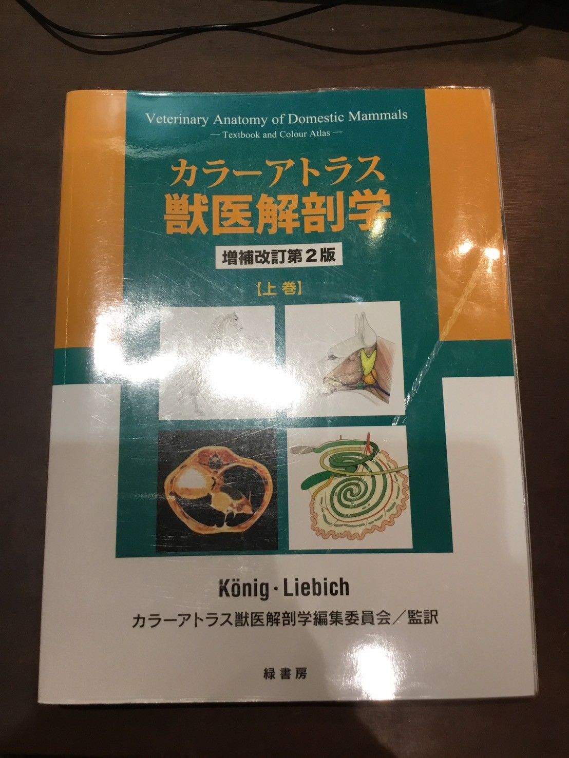 カラーアトラス獣医解剖学 上巻 増補改訂第2版 カラーアトラス獣医解剖学