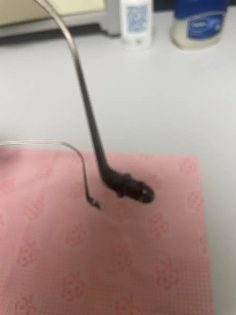 バジリクトリアン