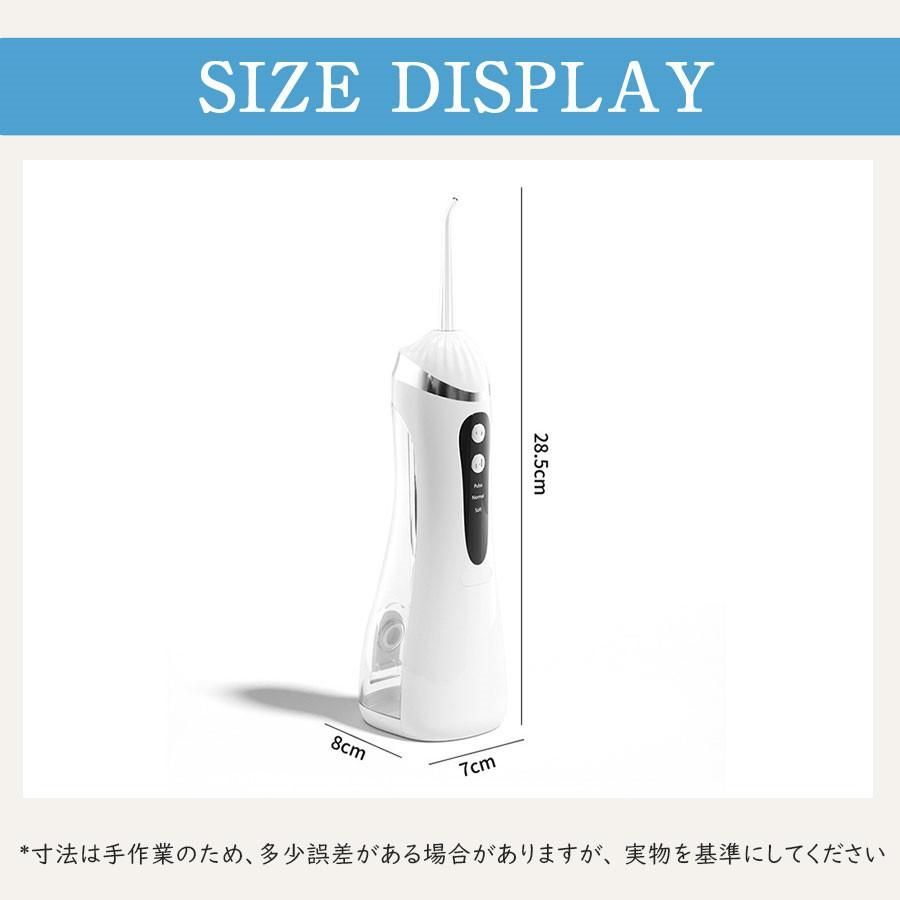 チャウヌ チャウヌ MYSTERYELEVATOR シンガポール 公演限定 トレカ