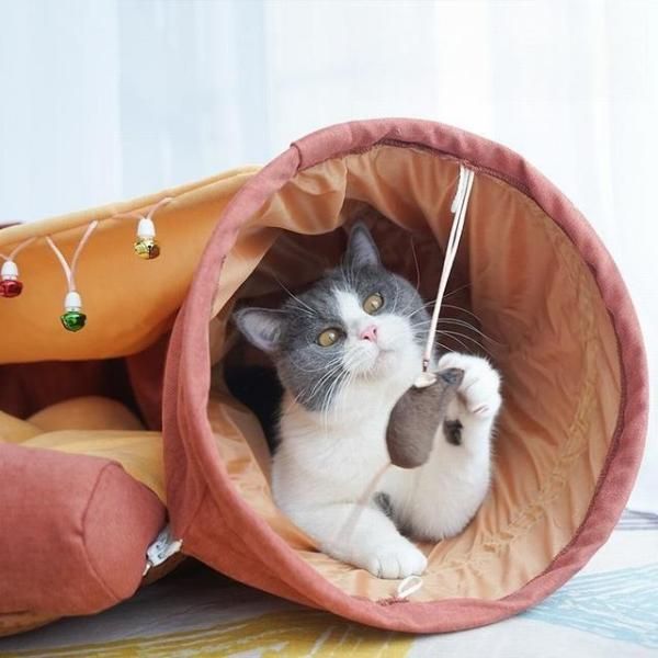 猫トンネル 猫ベッド