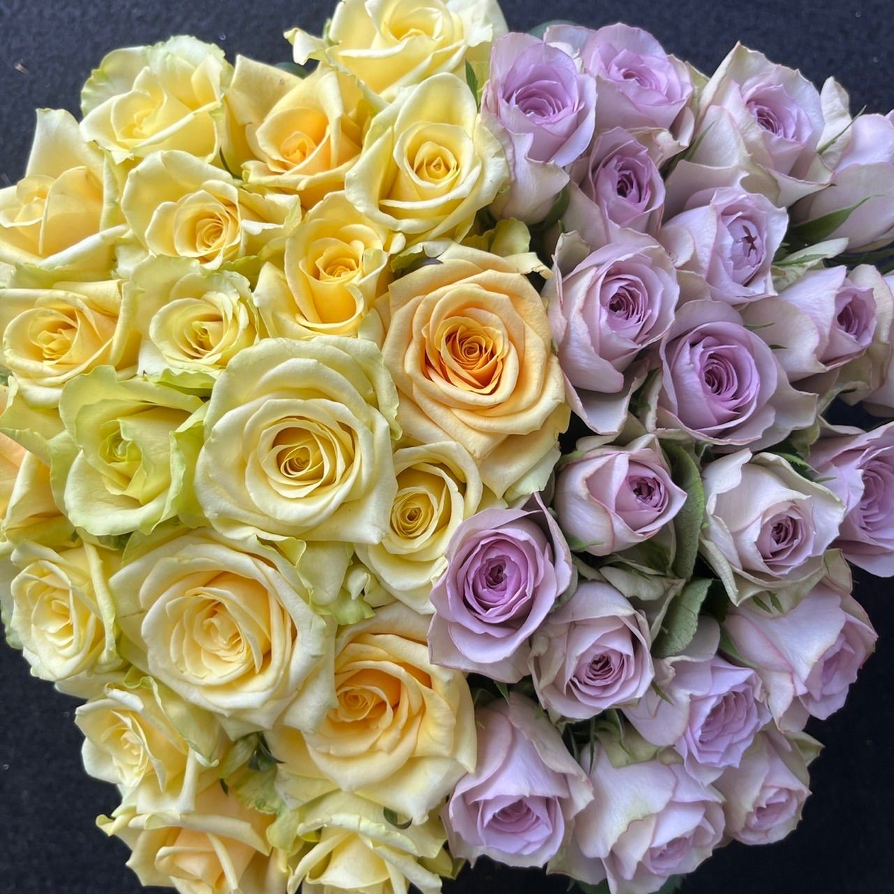 鮮度抜群 バラ 切り花 生花 ＊イエロー＆パープルハーフandハーフ＊ 30㎝SM 40本 産地直送