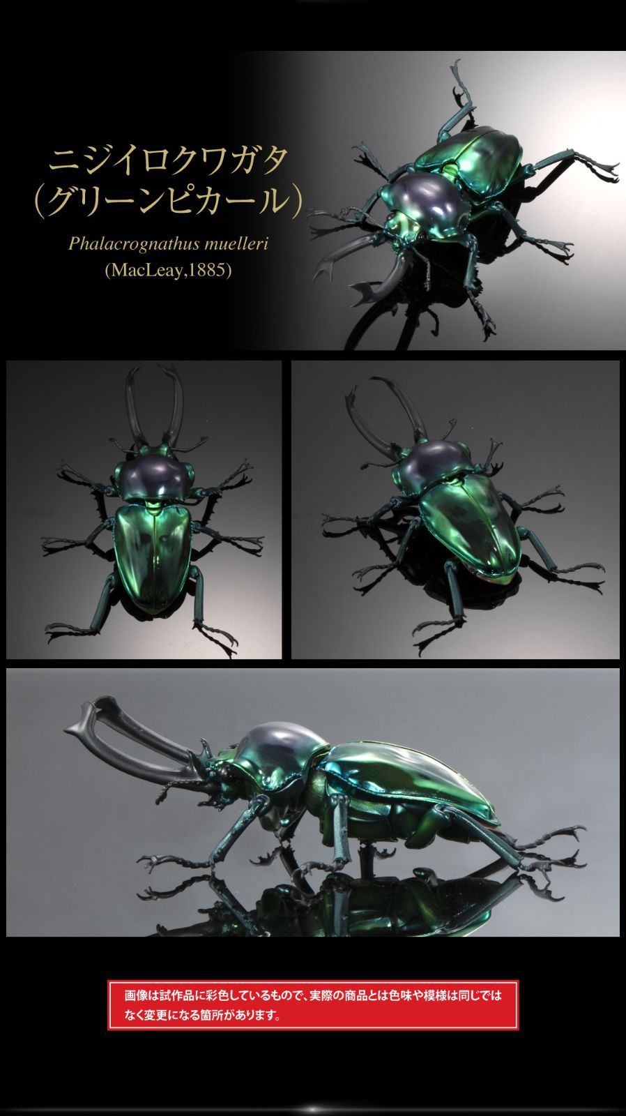ニジイロクワガタ 全4種類セット いきもの大図鑑アドバンス ニジイロ