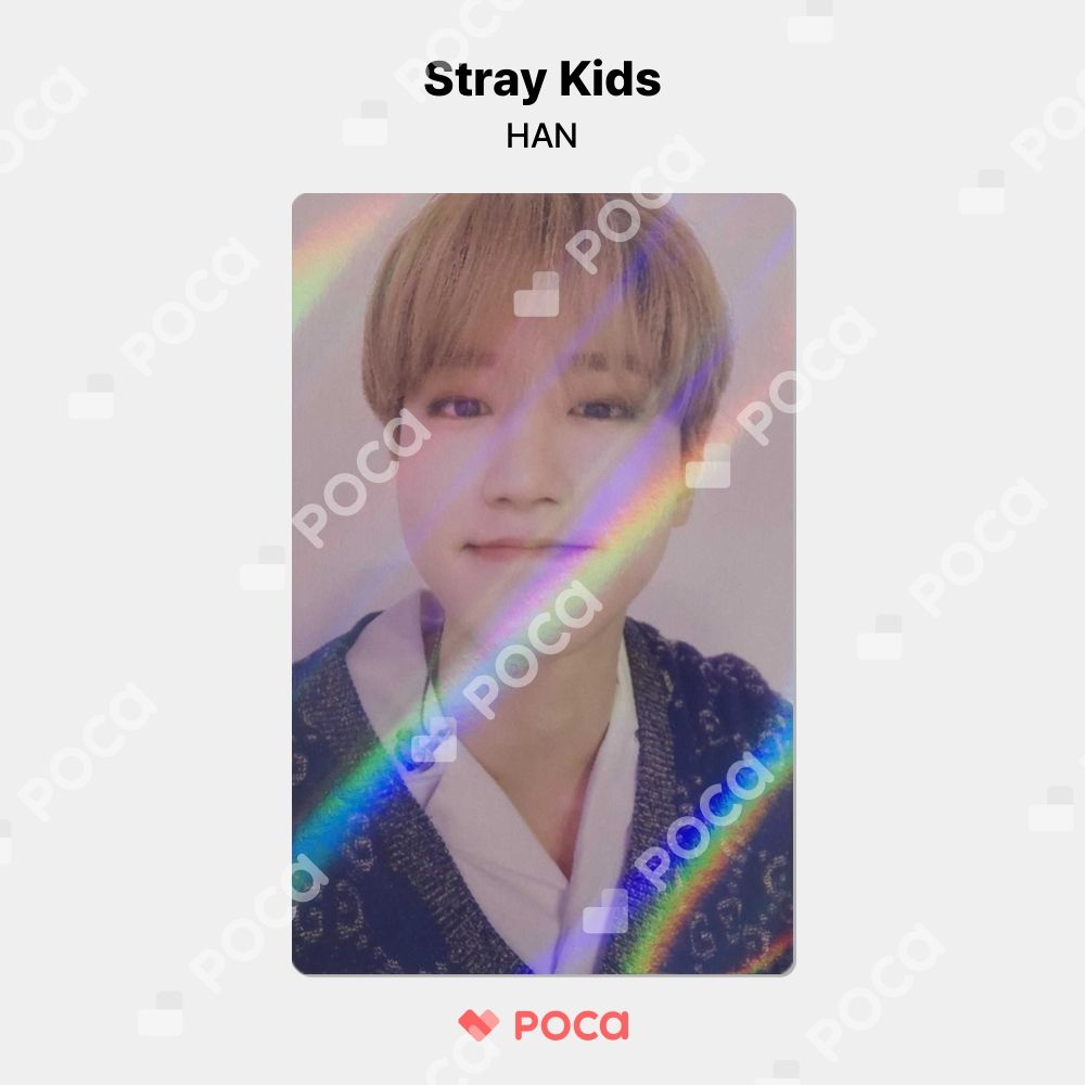 StrayKids NOEASY MAKESTAR トレカ リノ
