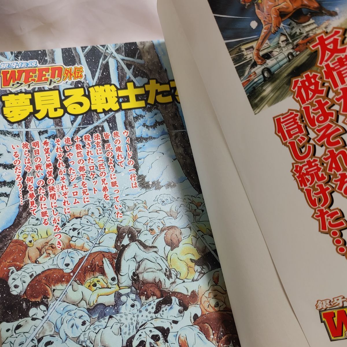 銀牙伝説リキ ／ 銀牙伝説ウィード外伝 2冊セット 高橋よしひろ