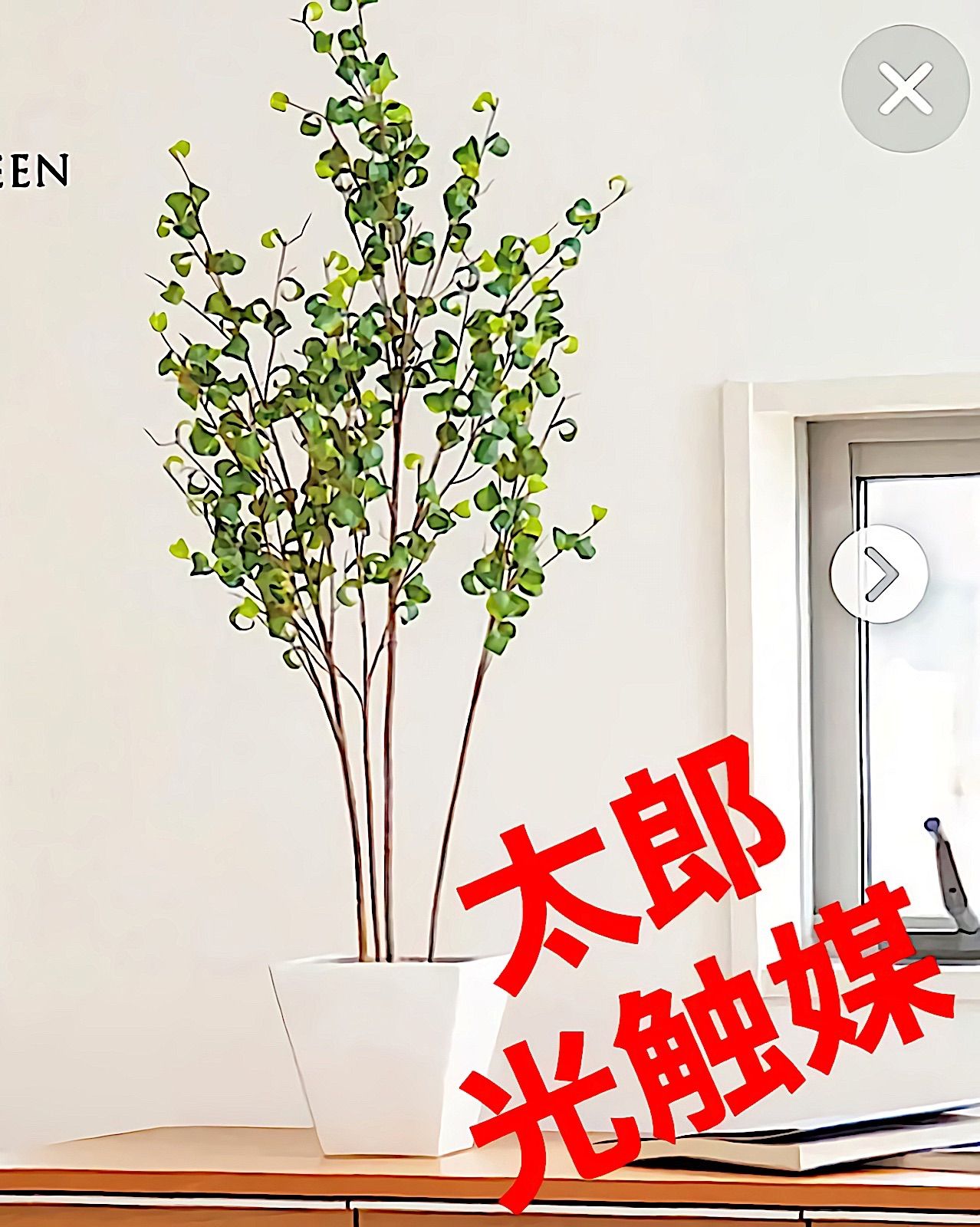 光触媒 人工観葉植物 ウォールグリーン フェイクグリーン 高品質 光触媒 人工観葉植物 ウォールグリーン フェイクグリーン 高品質