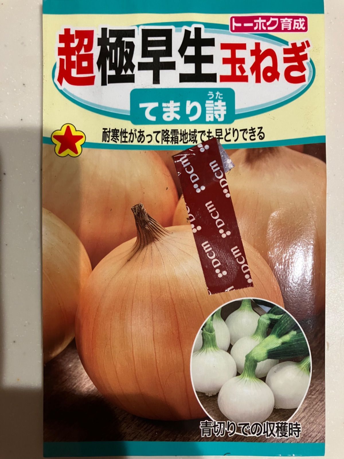 玉ねぎ苗 ターボ 30本 - 野菜
