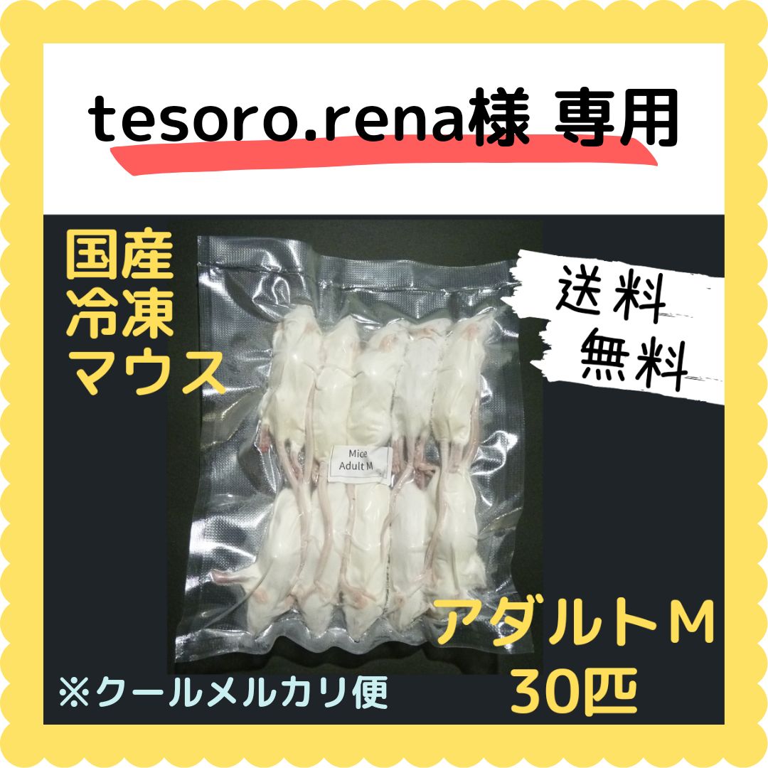 tesoro.rena様専用】国産冷凍マウス アダルトＭ 30匹※クールメルカリ便