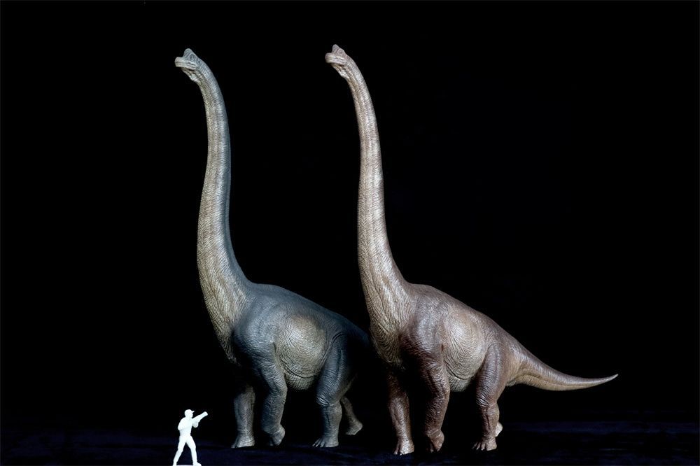 Nanmu 本心楠改 ブラキオサウルス 巨大 草食恐竜 模型 リアル