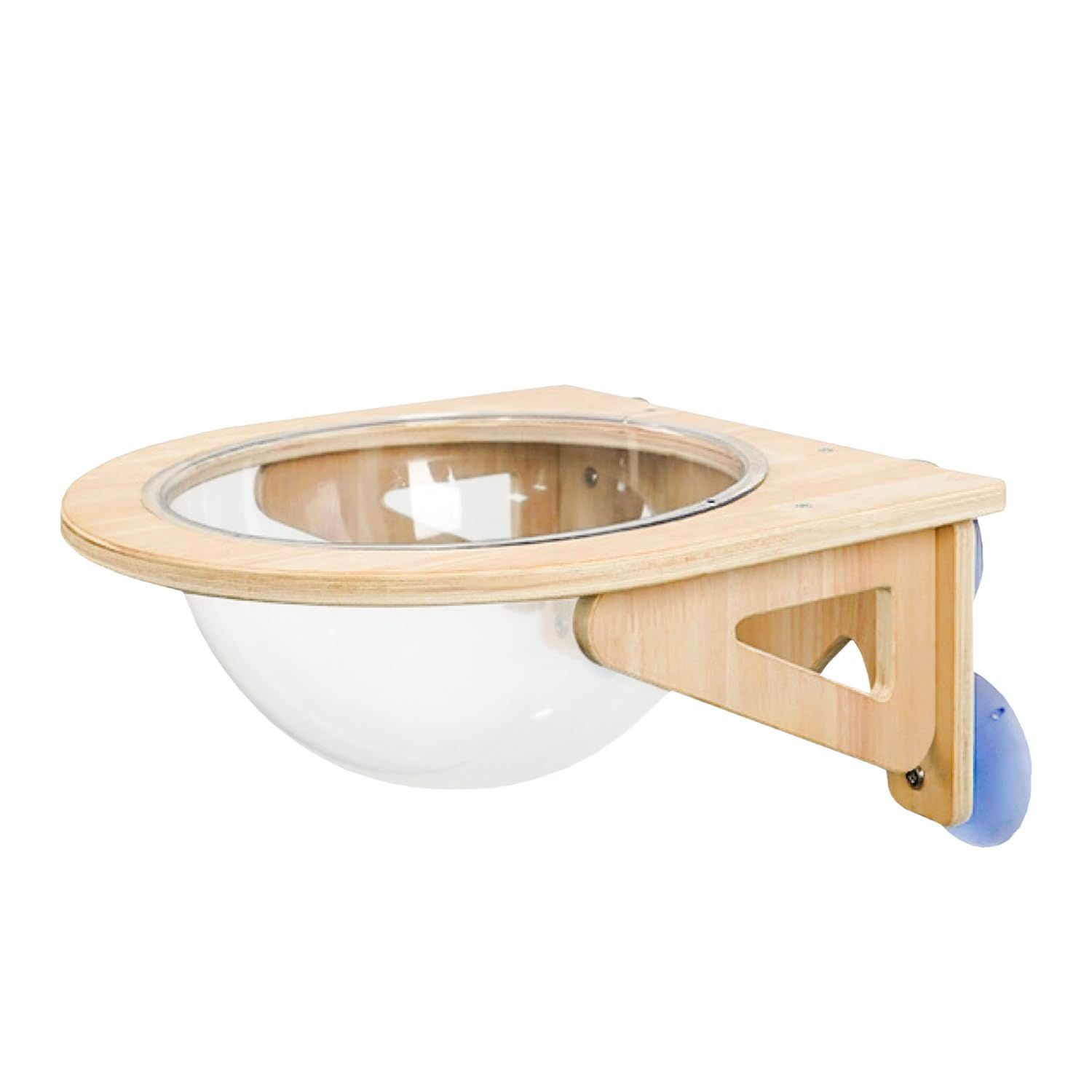 Raggetti Violin RV2 1/4 ラゲッティ バイオリン