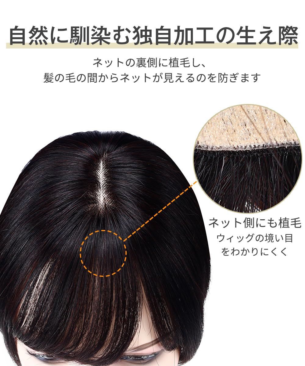 横9cm縦14cm 部分ウィッグ