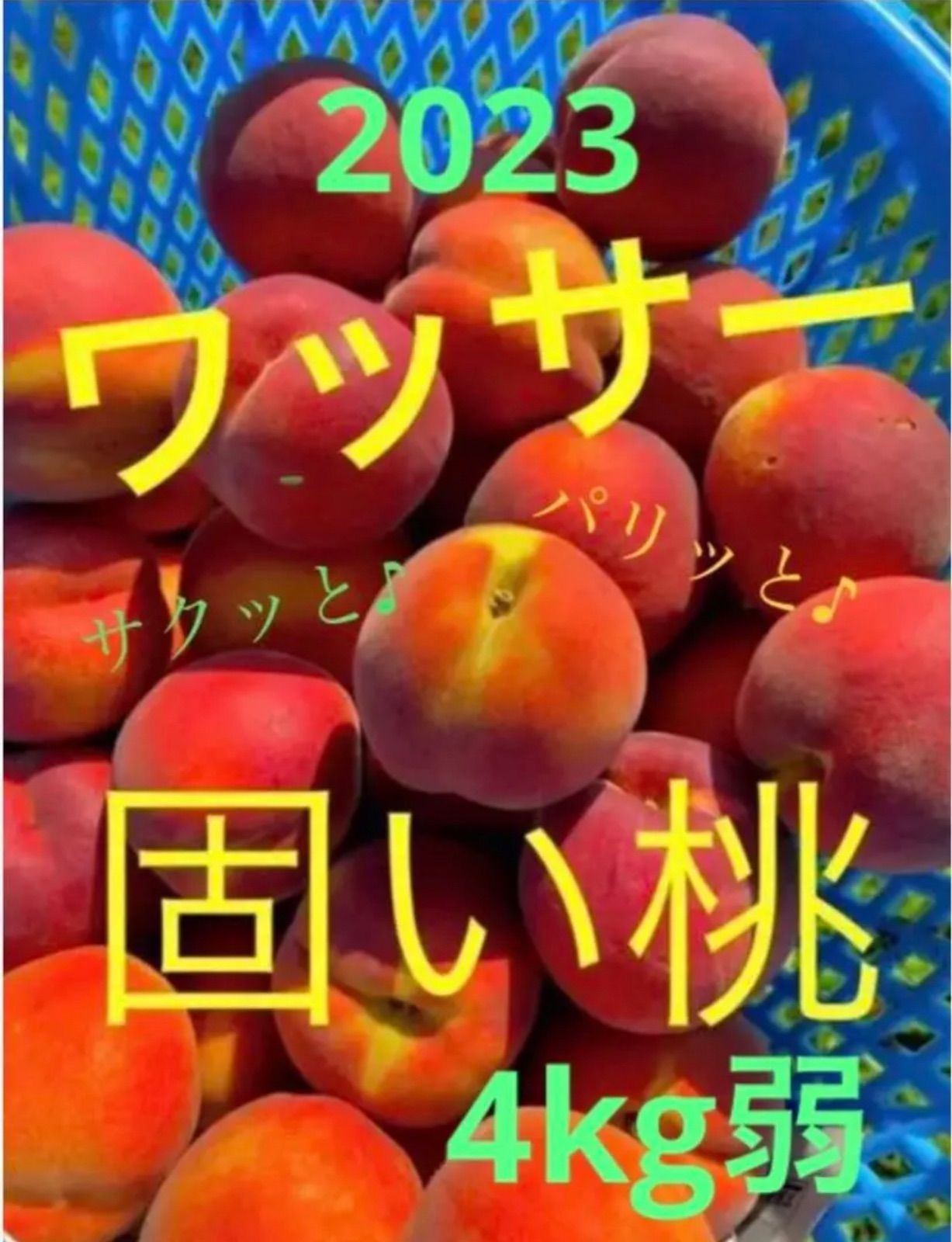 13 信州産　早生ワッサー家庭用3キロ