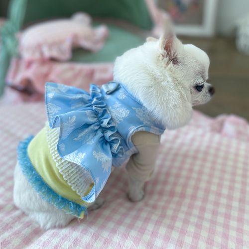 louisdog ルイドッグ