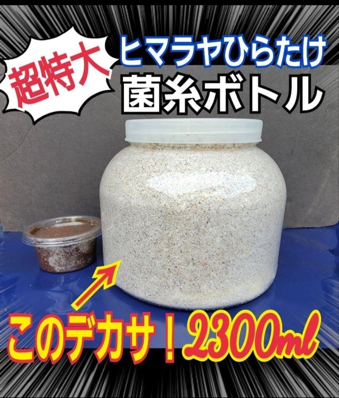 ギネス狙いに！ヒマラヤひらたけ超特大菌糸瓶【2本】特殊アミノ酸強化 